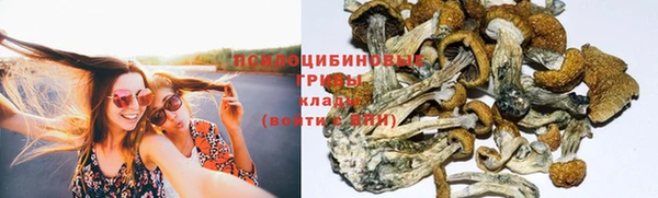ALPHA PVP Володарск