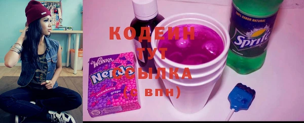 прущие грибы Вязники