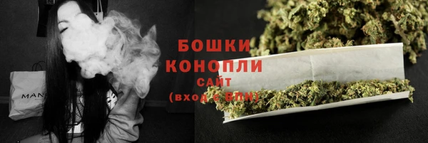 прущие грибы Вязники