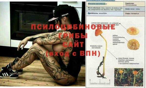 гашиш Горнозаводск