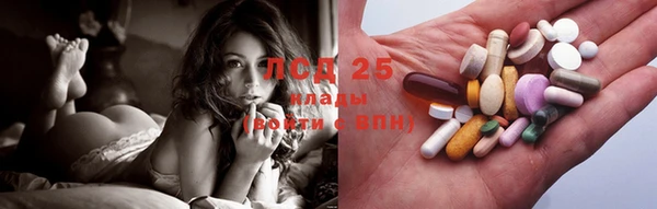 прущие грибы Вязники