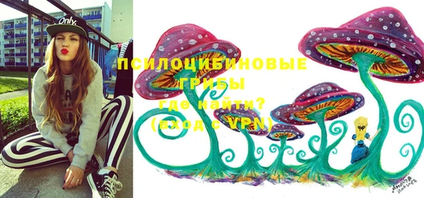 гашиш Горнозаводск