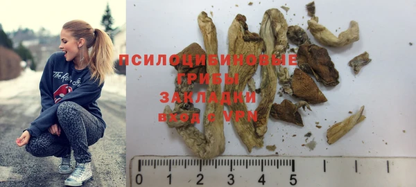 прущие грибы Вязники
